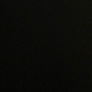 Meet your Posher, Bella